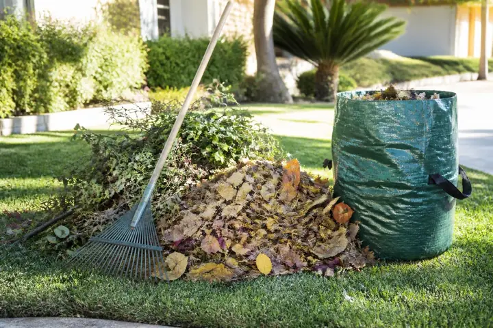 Pile of raked leaves and branches beside a yard-waste bag